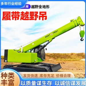 25T橡胶履带式越野吊 山地运输全地形吊车 多用途可定制野外吊机